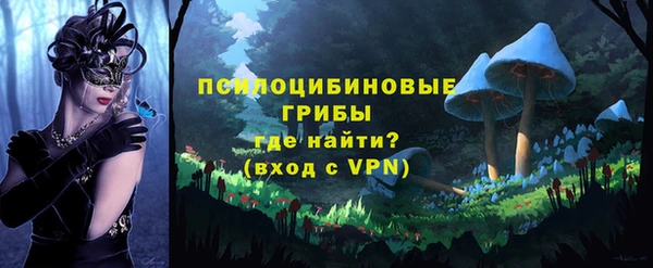 дмт Кинешма