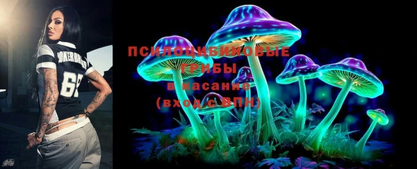 дмт Кинешма